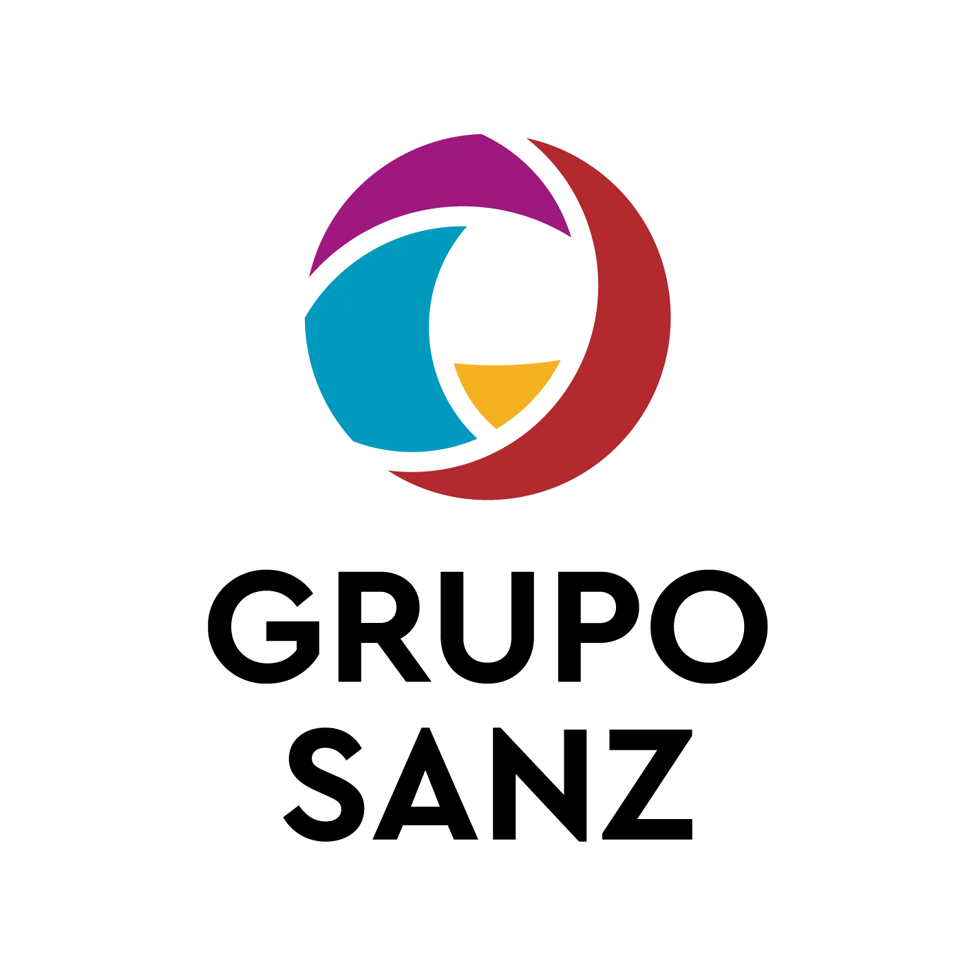 GRUPO SANZ