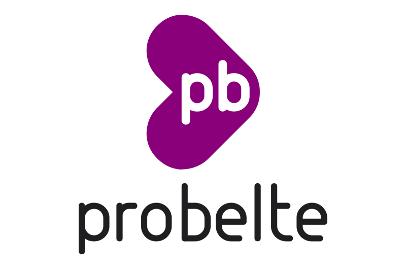 PROBELE