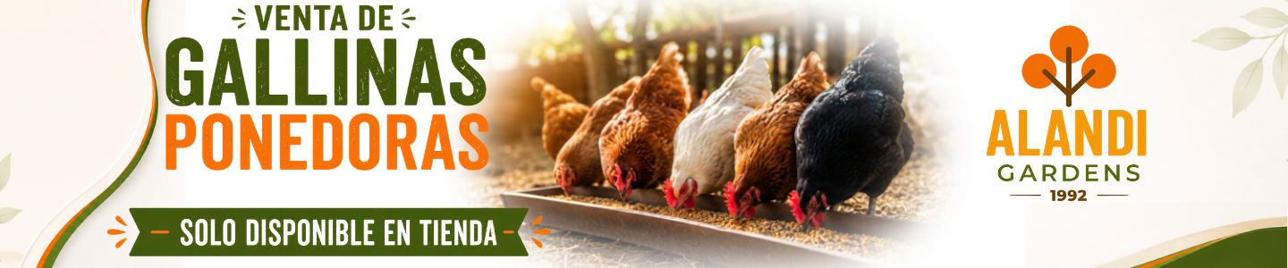 Banner Gallinas