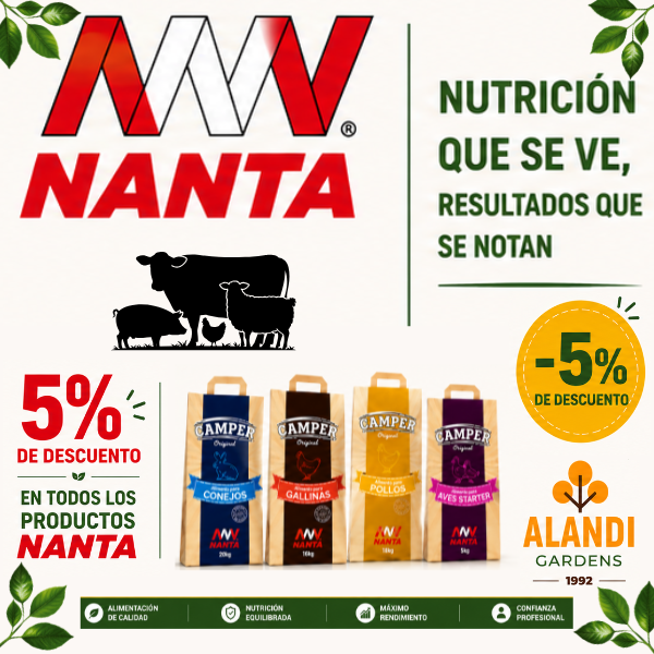 Banner Nanta móvil