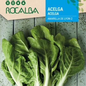 Acelga Amarilla de Lyon