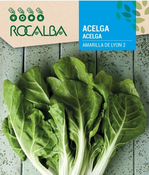 Acelga Amarilla de Lyon