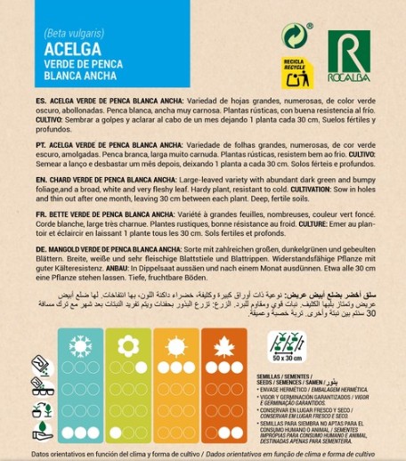 Acelga Verde de Penca Blanca Ancha - Imagen 2