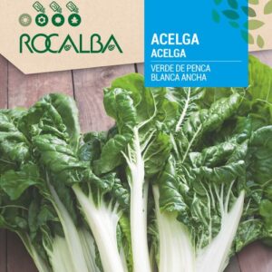 Acelga Verde de Penca Blanca Ancha