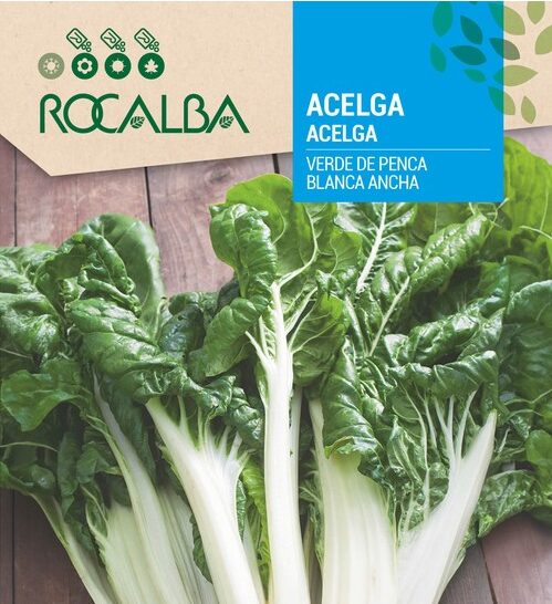 Acelga Verde de Penca Blanca Ancha