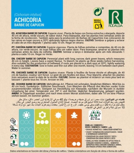Achicoria Barbe De Capucin - Imagen 2