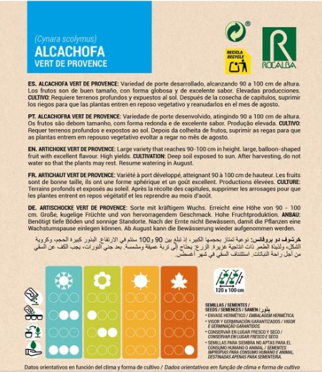 Alcachofa Vert De Provence - Imagen 2