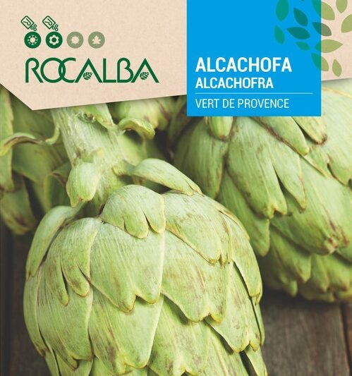 Alcachofa Vert De Provence