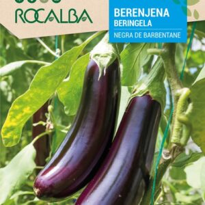 Berenjena Black Beauty