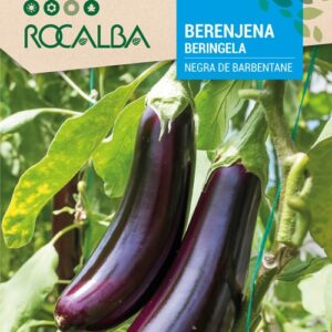 Berenjena Negra Barbente