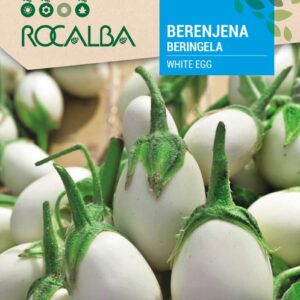 Berenjena Blanca