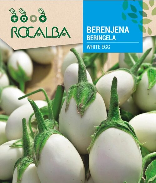 Berenjena Blanca