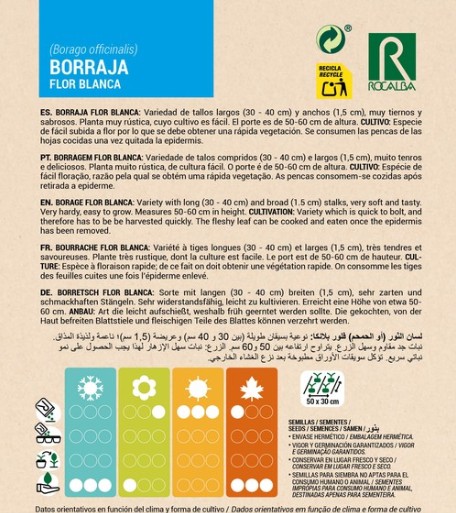 Borraja Flor Blanca - Imagen 2