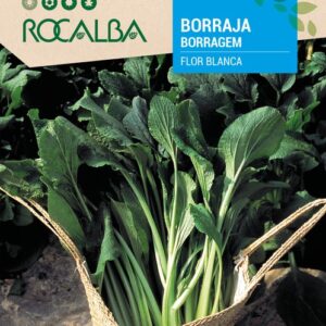 Borraja Flor Blanca