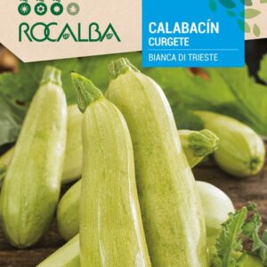 Calabacín Bianco De Trieste
