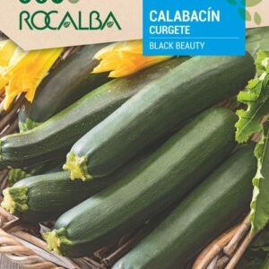 Calabacín Black Beauty