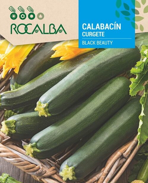 Calabacín Black Beauty