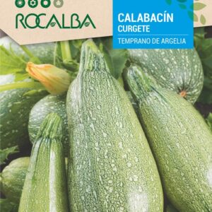 Calabacín Temprano De Argelia