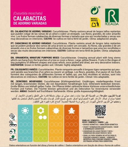 Calabacitas De Adorno Variadas - Imagen 2