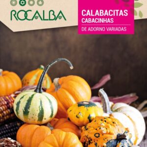 Calabacitas De Adorno Variadas