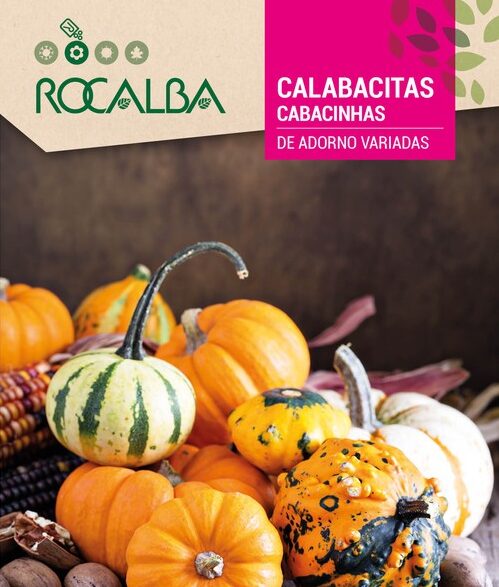 Calabacitas De Adorno Variadas