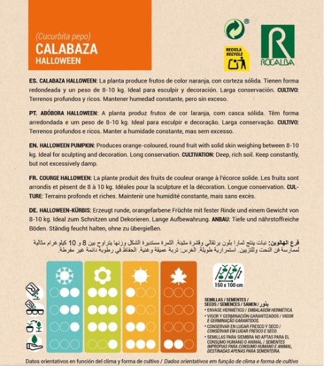 Calabaza Halloween - Imagen 2