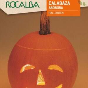 Calabaza Halloween