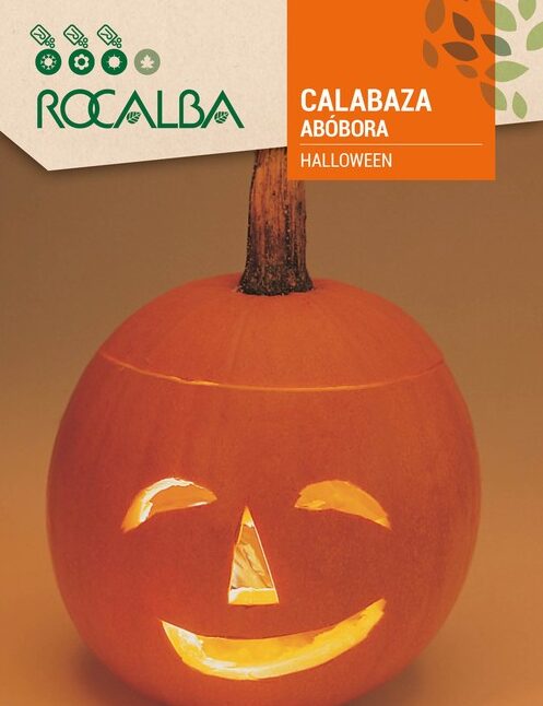 Calabaza Halloween