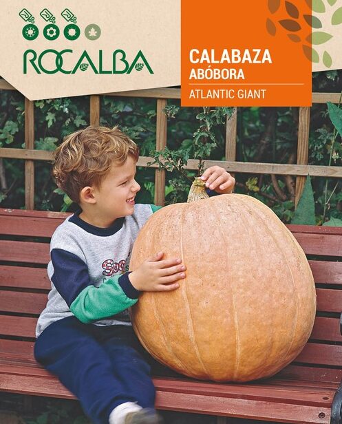 Calabaza Atlantic Giant