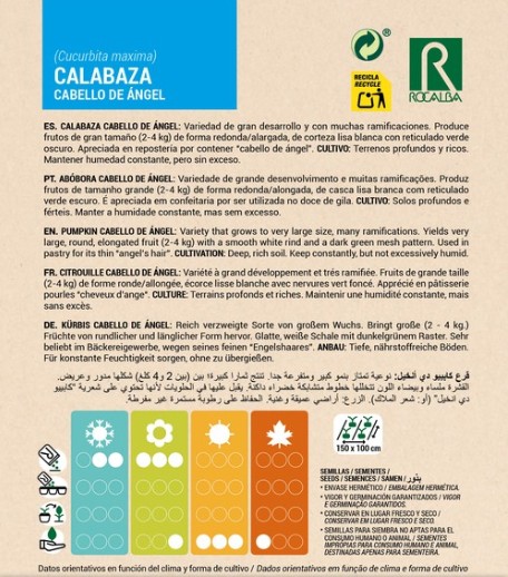 Calabaza Cabello De Ángel - Imagen 2