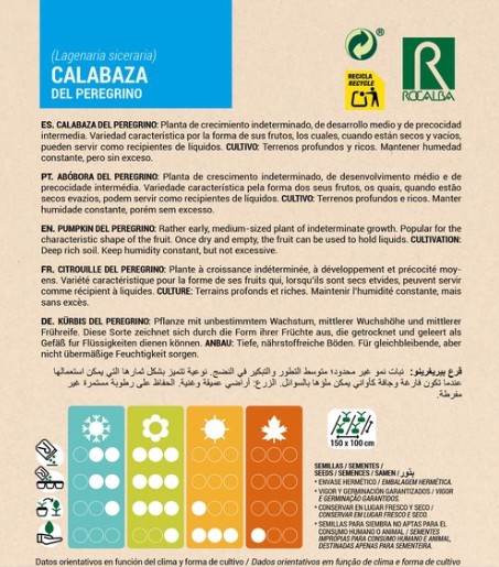 Calabaza Del Peregrino - Imagen 2