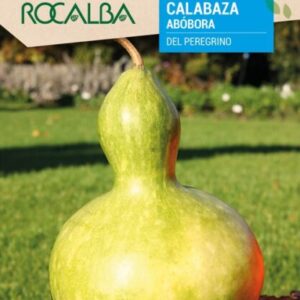 Calabaza Del Peregrino