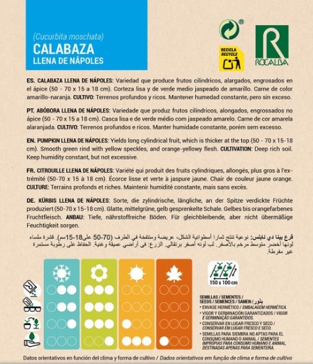 Calabaza Llena De Nápoles - Imagen 2