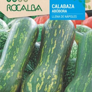 Calabaza Llena De Nápoles