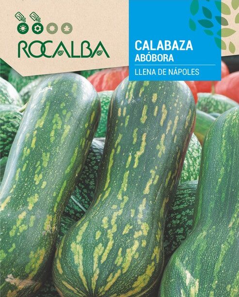 Calabaza Llena De Nápoles