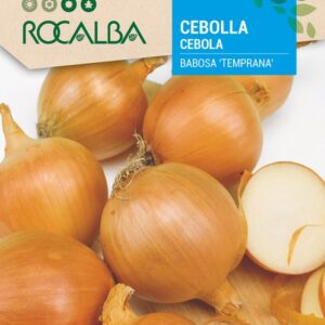 Cebolla Babona Temprana