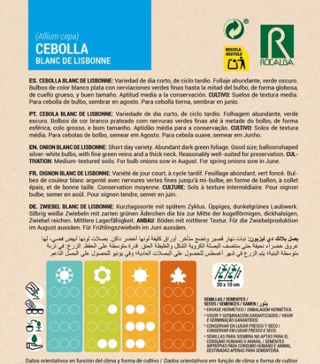 Cebolla Blanca De Lisbonne - Imagen 2