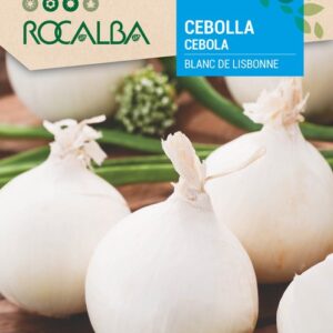 Cebolla Blanca De Lisbonne