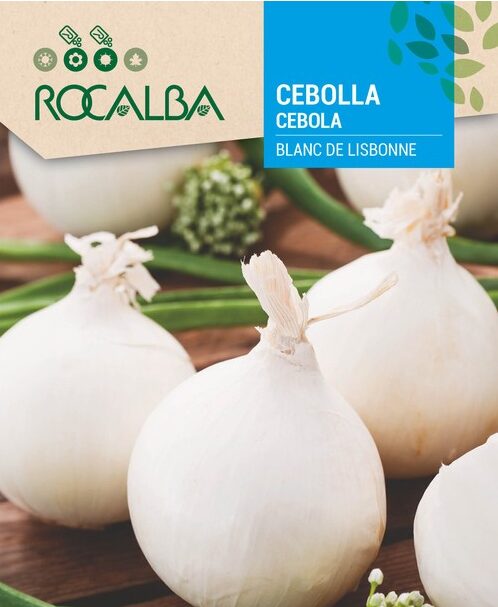 Cebolla Blanca De Lisbonne