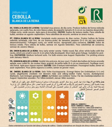 Cebolla Blanca De La Reina - Imagen 2
