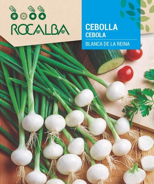 Cebolla Blanca De La Reina