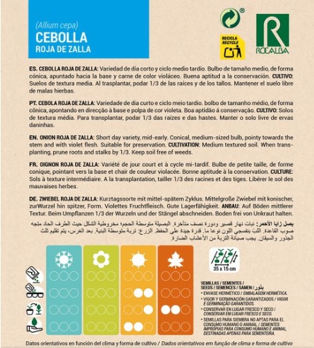 Cebolla Roja de Zalla - Imagen 2