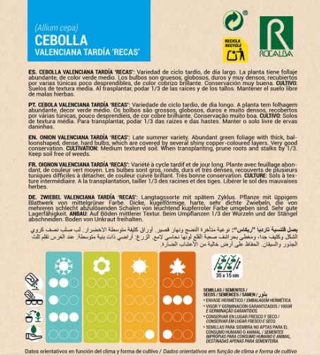 Cebolla Valenciana Tardia Recas - Imagen 2