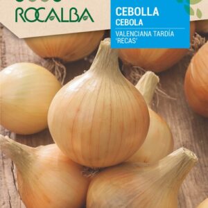 Cebolla Valenciana Tardia Recas