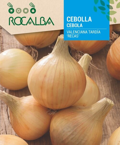 Cebolla Valenciana Tardia Recas