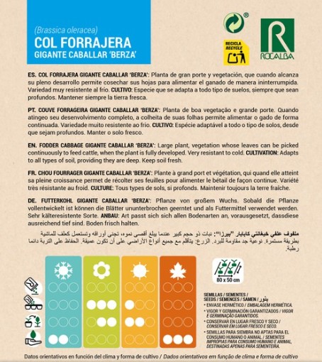 Col Forrajera Gigante Caballar BERZA - Imagen 2
