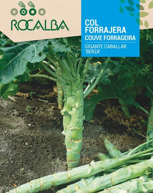 Col Forrajera Gigante Caballar BERZA