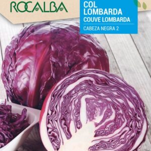 Col Lombarda Cabeza Negra