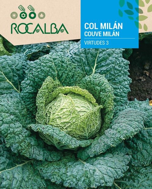 Col Milan Virtudes 3