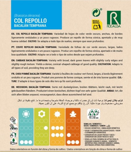 Col Repollo Bacalán Temprana - Imagen 2